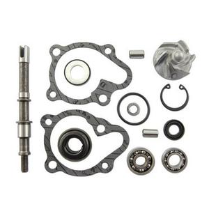 Ūdens sūkņa remonta komplekts Vicma 11625