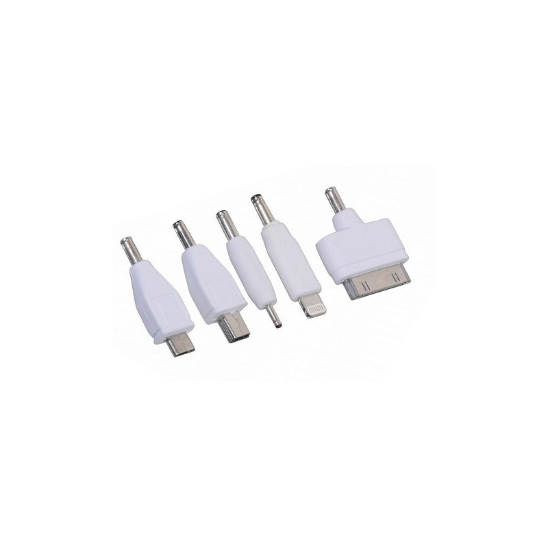 Tālruņa lādētājs 12V 2,1A (iPhone 4/5/6, micro USB, Nokia)