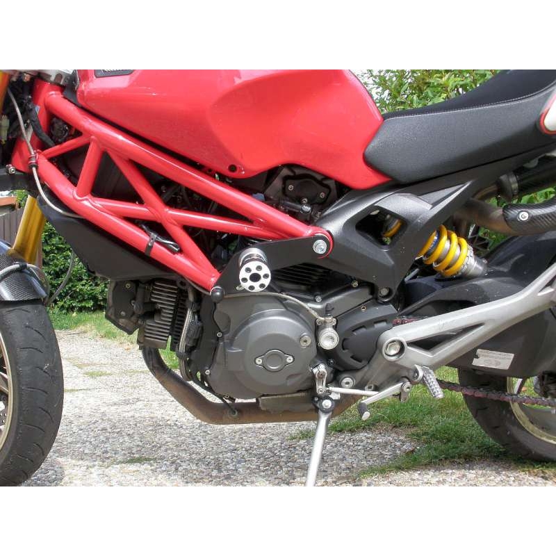 DUCATI Monster 796 Gatling(ZO)
