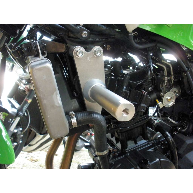 Kawasaki ZX-300R Classic