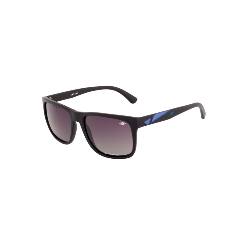 3F Kern 1787 brilles
