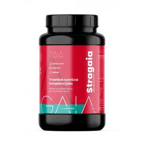Šķīstošā pārtika GAIA Stragaia 1 kg zemeņu