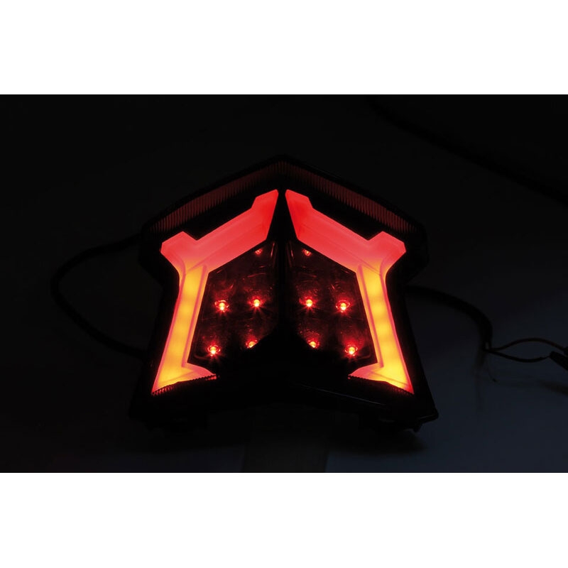 Aizmugurējais LED lukturis Highsider Smart priekš Kawasaki Z 900, Z 650, Ninja 650, Bj. 17-