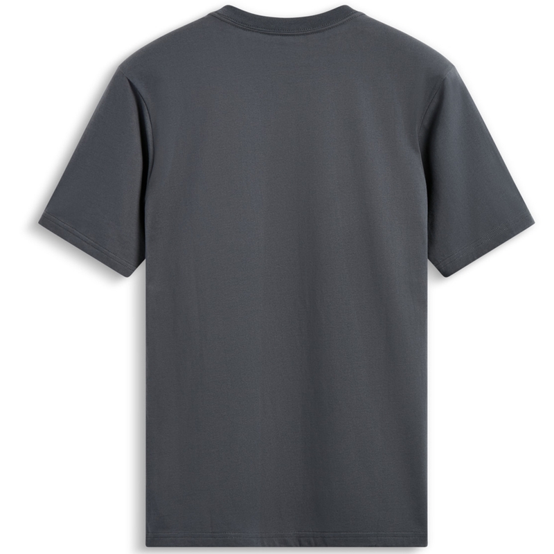 T-krekls Alpinestars Waving Patch CSF pelēks