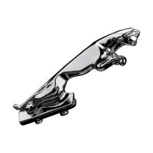 Fender apdare Panther