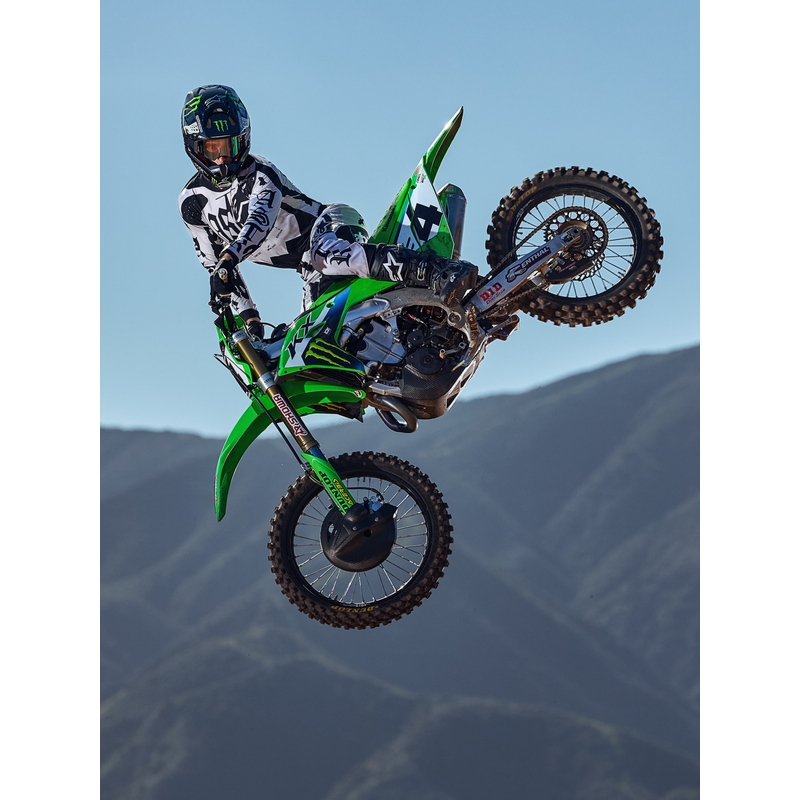 Alpinestars Techstar ierobežotā izdevuma Wolf Dust motokrosa bikses smilšu-melnas