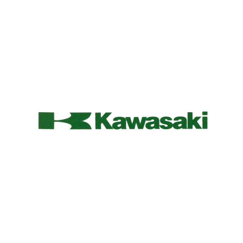 Kawasaki uzlīme zaļa